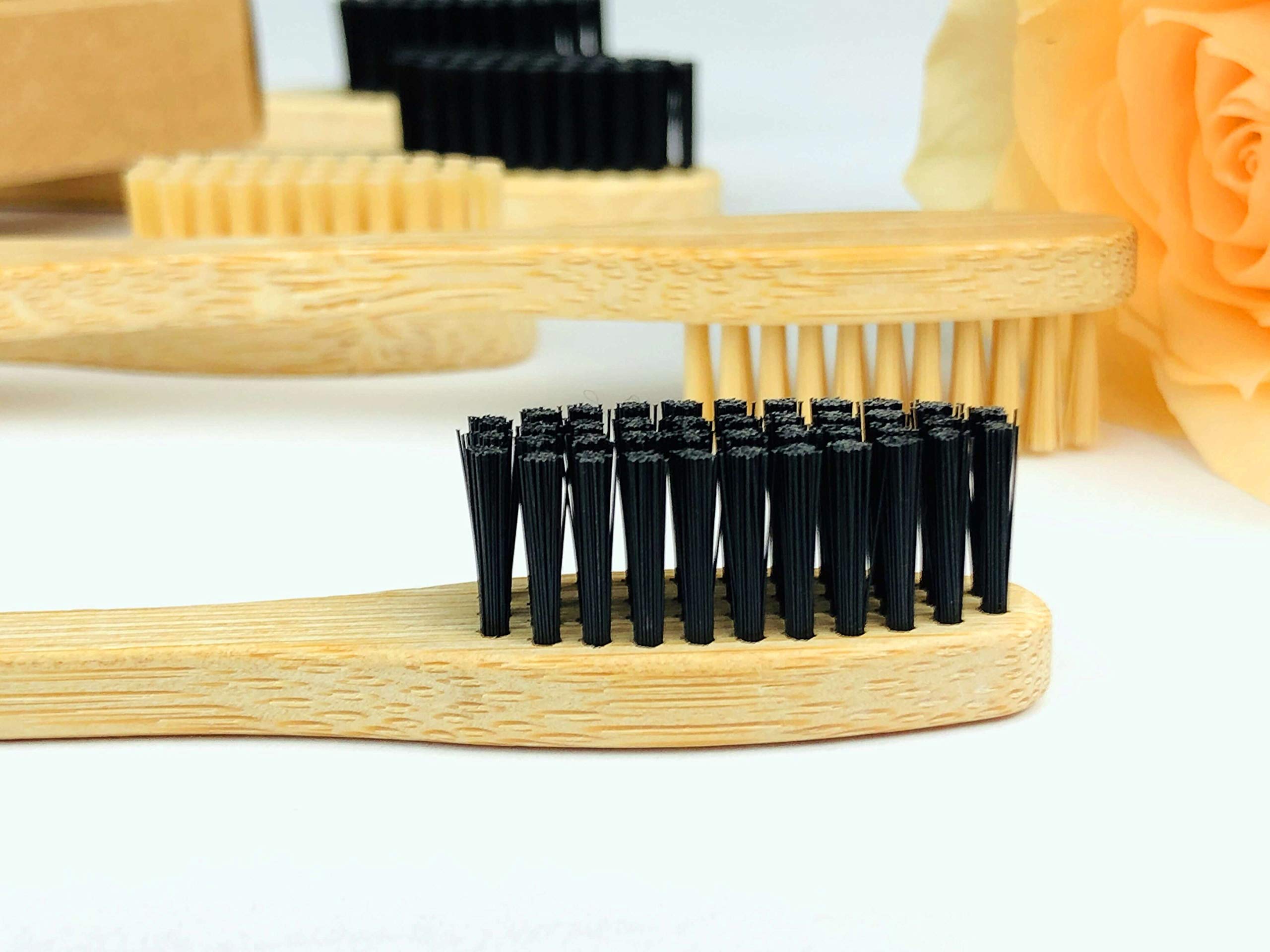 Eco-Friendly Bamboo Toothbrush Set - 10 Pack Medium Bristle Biodegradable Wooden Toothbrushes | Sustainable Oral Care for Travel, Camping & Zero Waste Lifestyle
