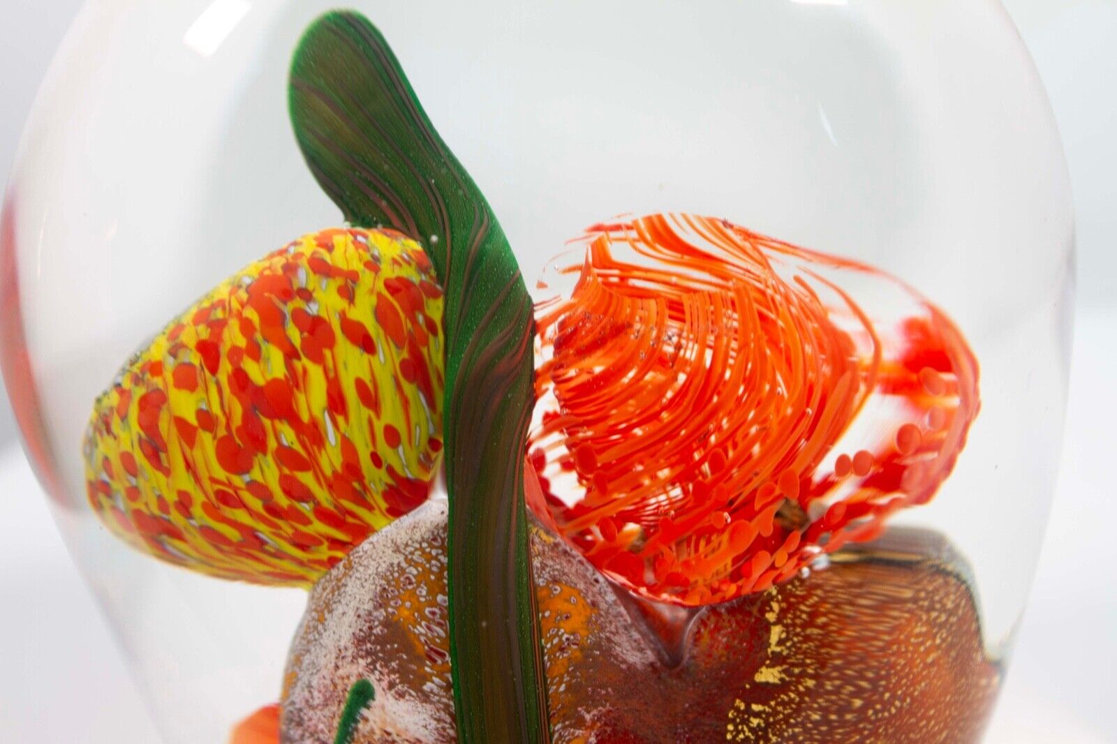 Collette Fortin Signed Contemporary Orange Underwater Coral Design Studio Art - Vibrant Wall Decor for Living Room, Bedroom & Office