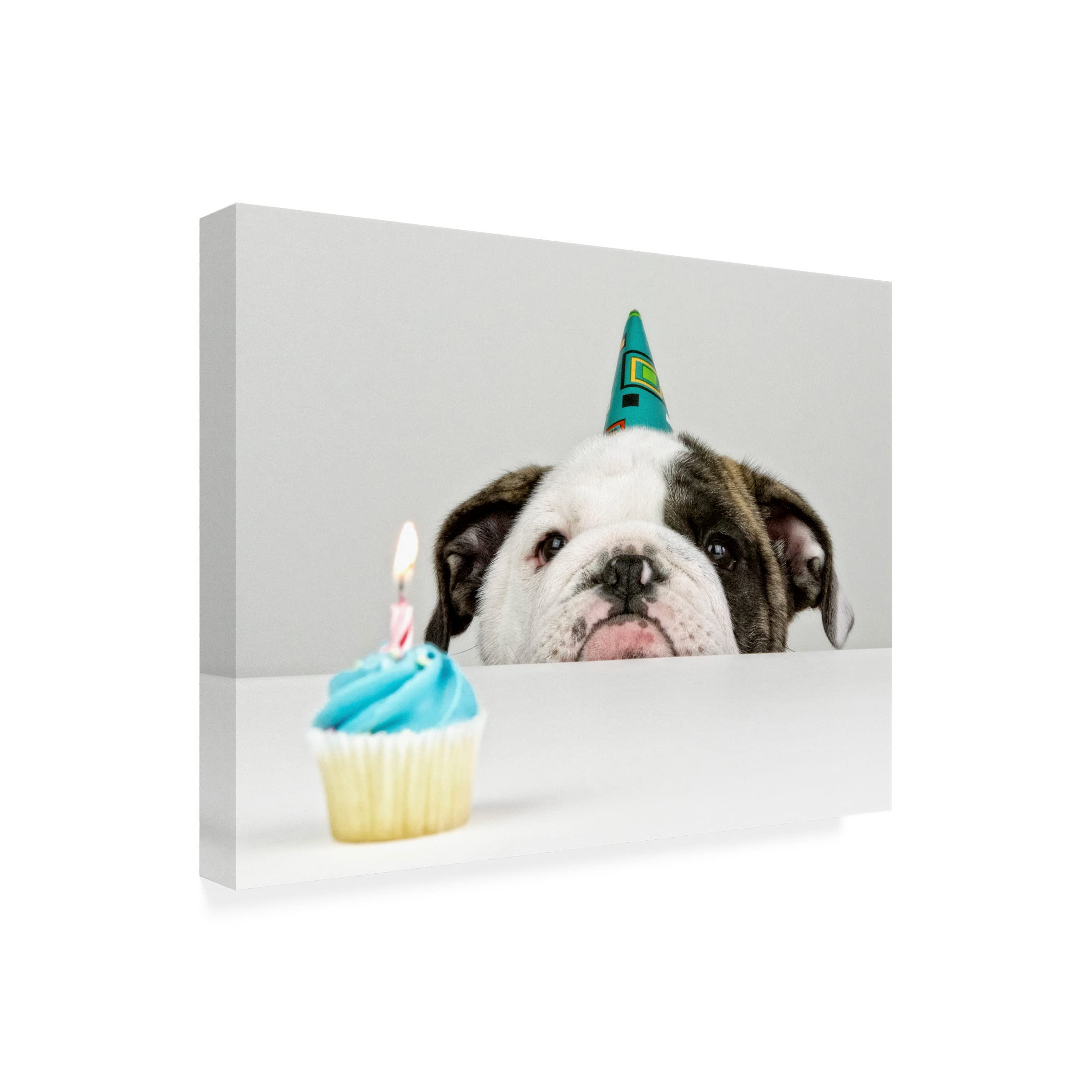 Trademark Fine Art 'A Little Birthday' Canvas Print by Mike Melnotte - Perfect for Nursery, Kids Room Decor & Birthday Gift Ideas