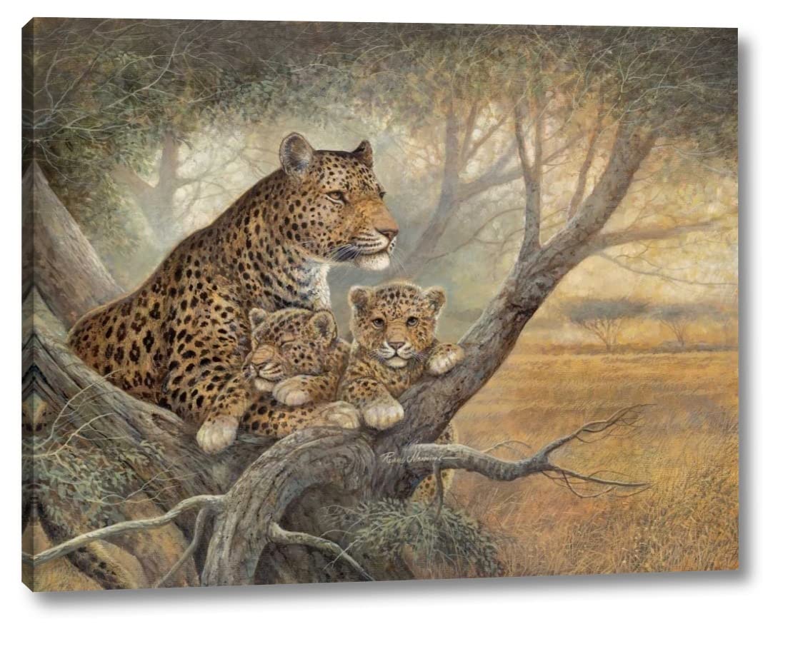 Shadow of Love by Ruane Manning - 13x16 Inch Canvas Wall Art Print, Gallery Wrapped, Ready to Hang - Perfect for Living Room, Bedroom & Office Decor