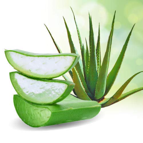 Pure Organic Aloe Vera Gel for Face & Hair - Vanitha Ayur Natural Skin Care - Soothes Sunburn, Hydrates Skin, Reduces Acne - Perfect for Daily Moisturizing & After Sun Care