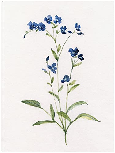 Petite Blue II