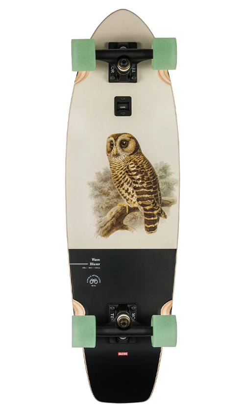 Globe Wave Blazer Hoot Owl Cruiser 31 Inch Skateboard - Perfect for Commuting, Campus Riding & Street Surfing