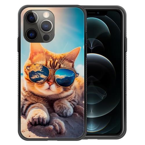 Sunshine Beach Cat
