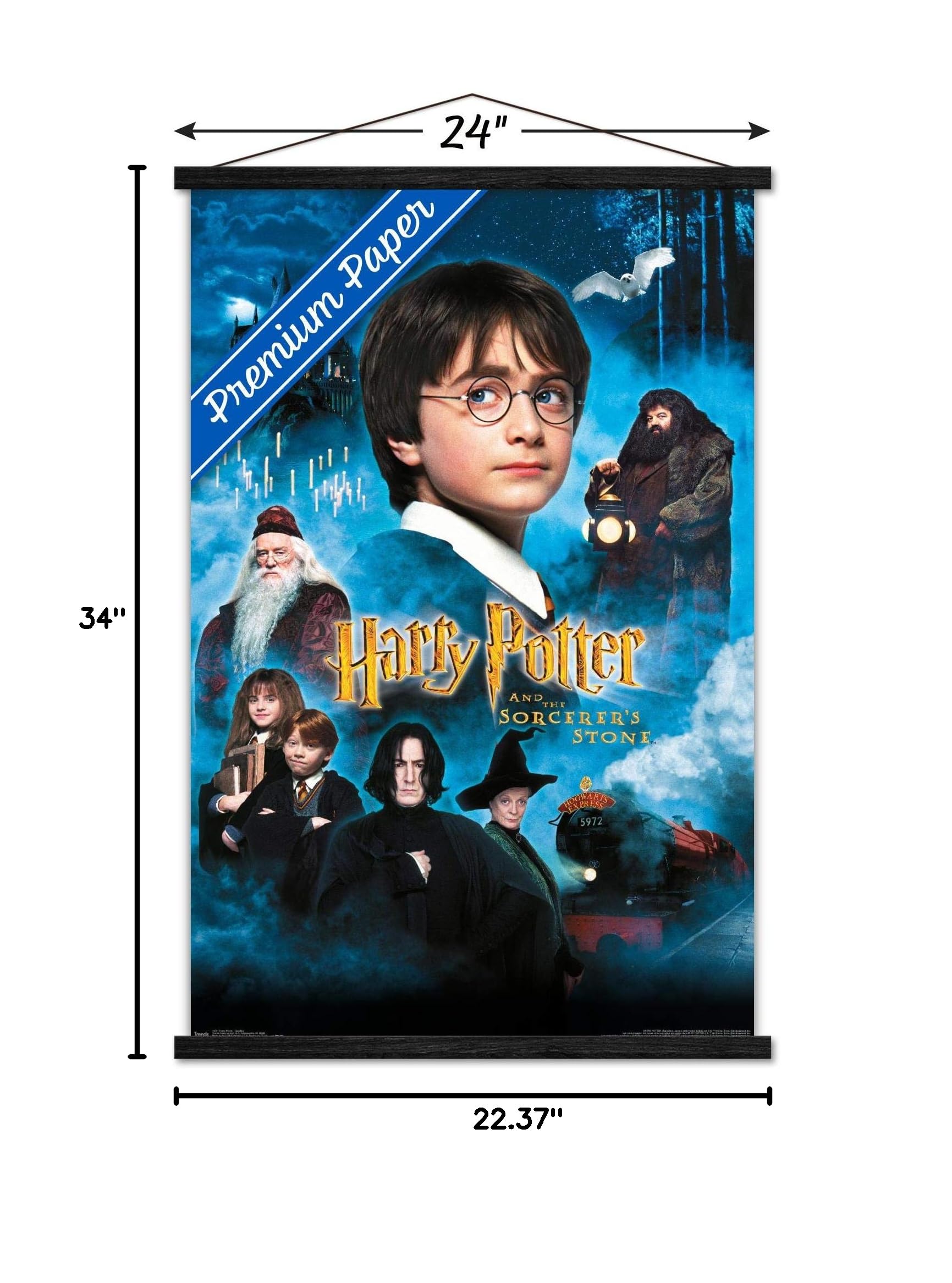 Trends International Harry Potter and the Sorcerer's Stone Wall Poster - 22.375