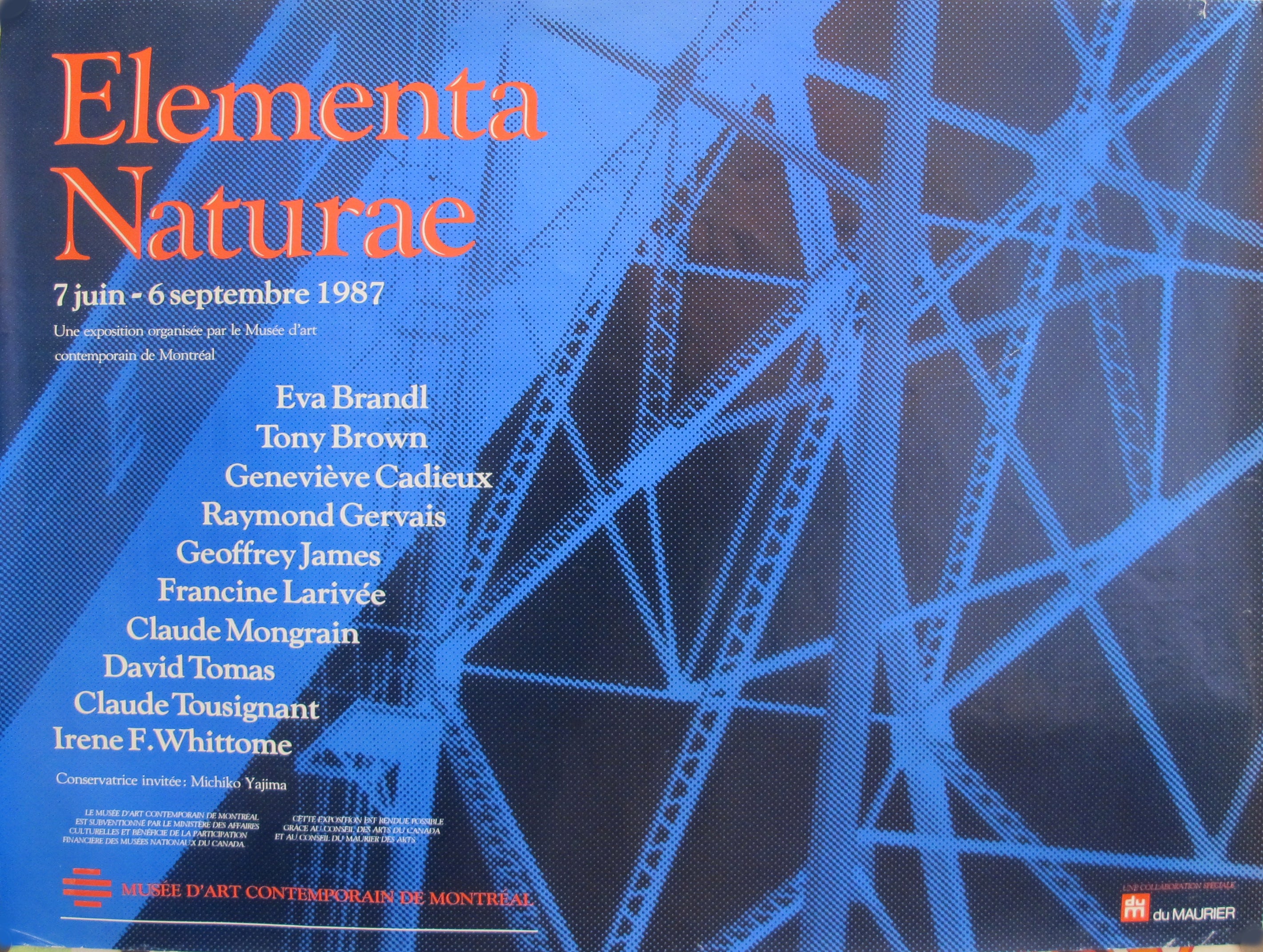 1987 Original Canadian Contemporary Art Poster - Elementa Naturae Exhibition at Montreal Museum | Vintage Wall Decor for Home, Office & Art Gallery Display
