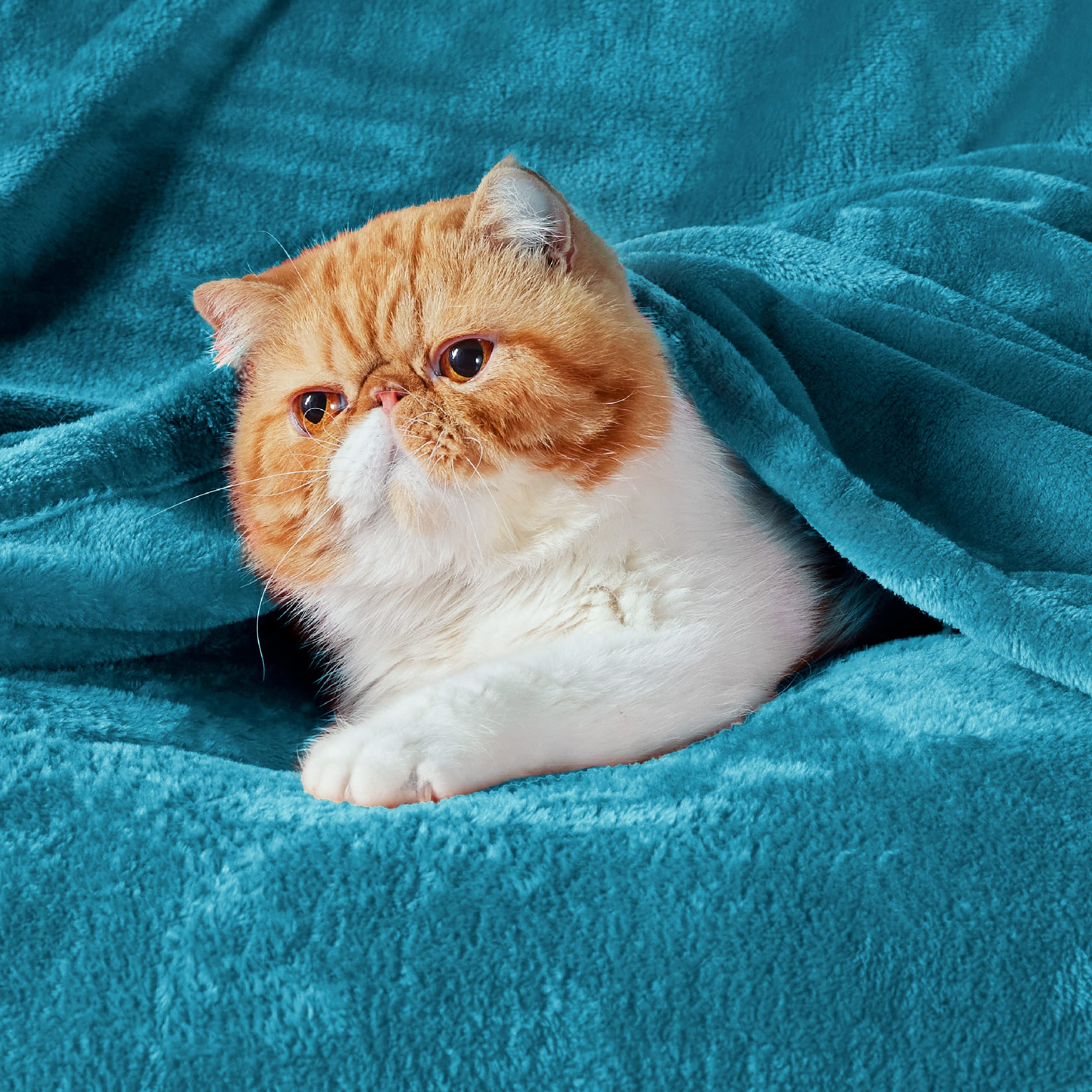 Bedsure 300GSM Fleece Blanket - Ultra Soft & Warm Plush Blanket for Bed, Sofa, Couch | Lightweight & Cozy for Travel, Camping | Twin Size 60x80 Inches | Perfect for Winter Nights, Movie Time & Outdoor Adventures