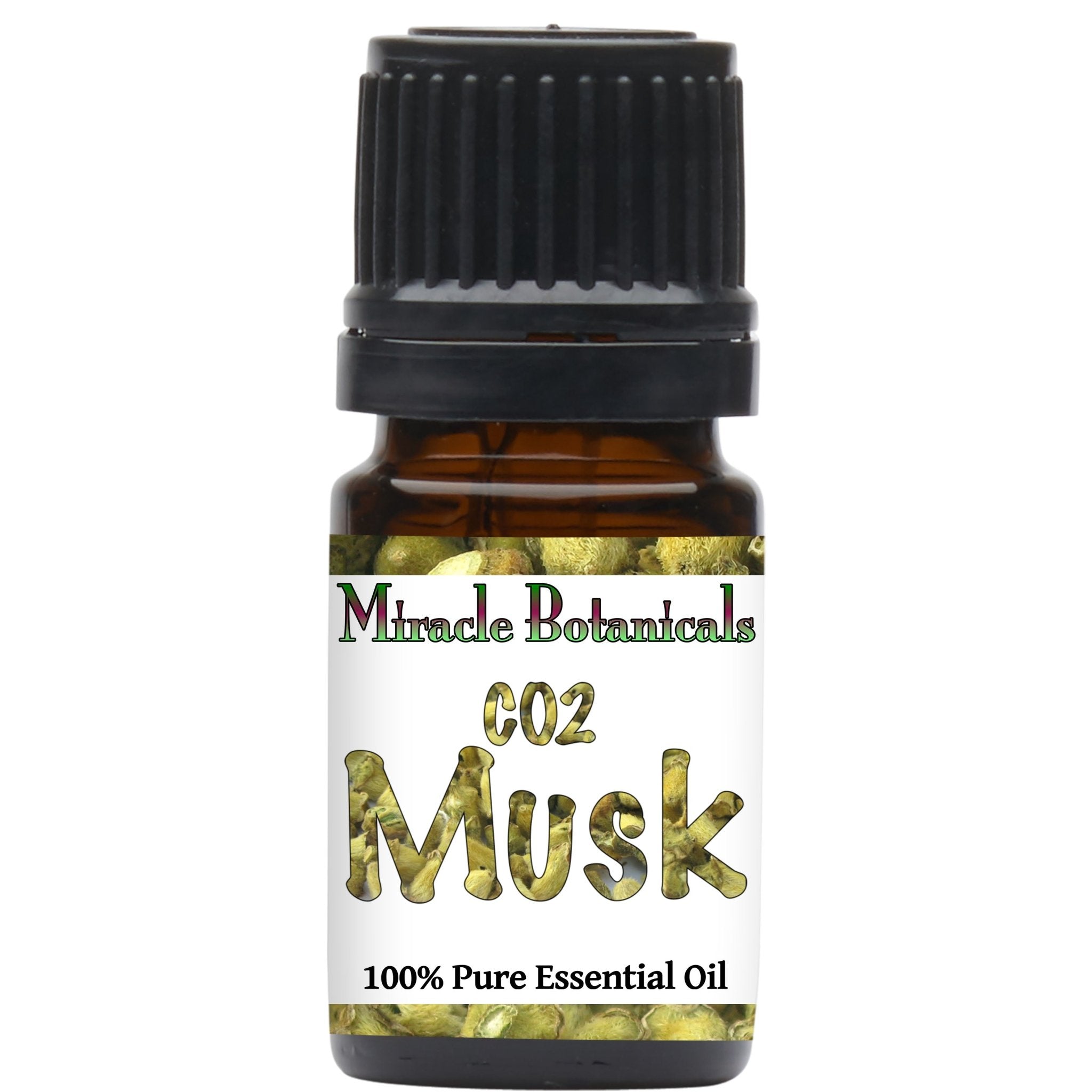 Pure Musk Essential Oil - CO2 Extracted Ambrette Seed (Hibiscus Abelmoschus) | Natural Perfume & Aromatherapy | Perfect for Diffusers, Massage & DIY Skincare