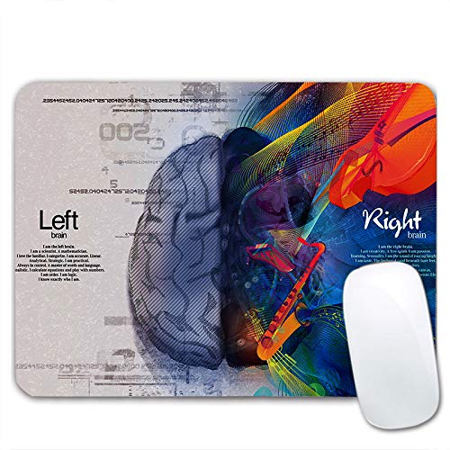 Brain