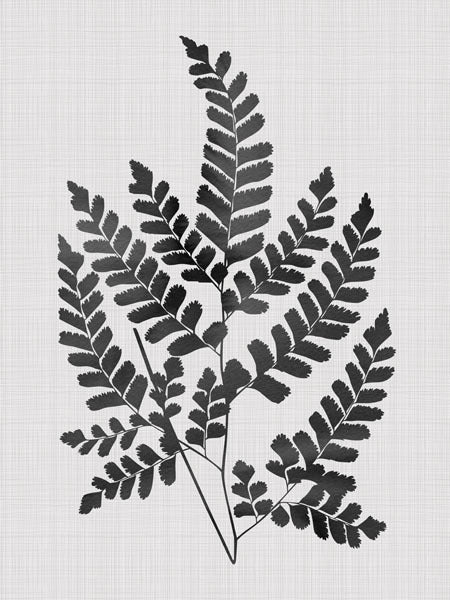Elegant Chestnut Black Canvas Art Print - Modern Wall Decor for Living Room, Bedroom & Office