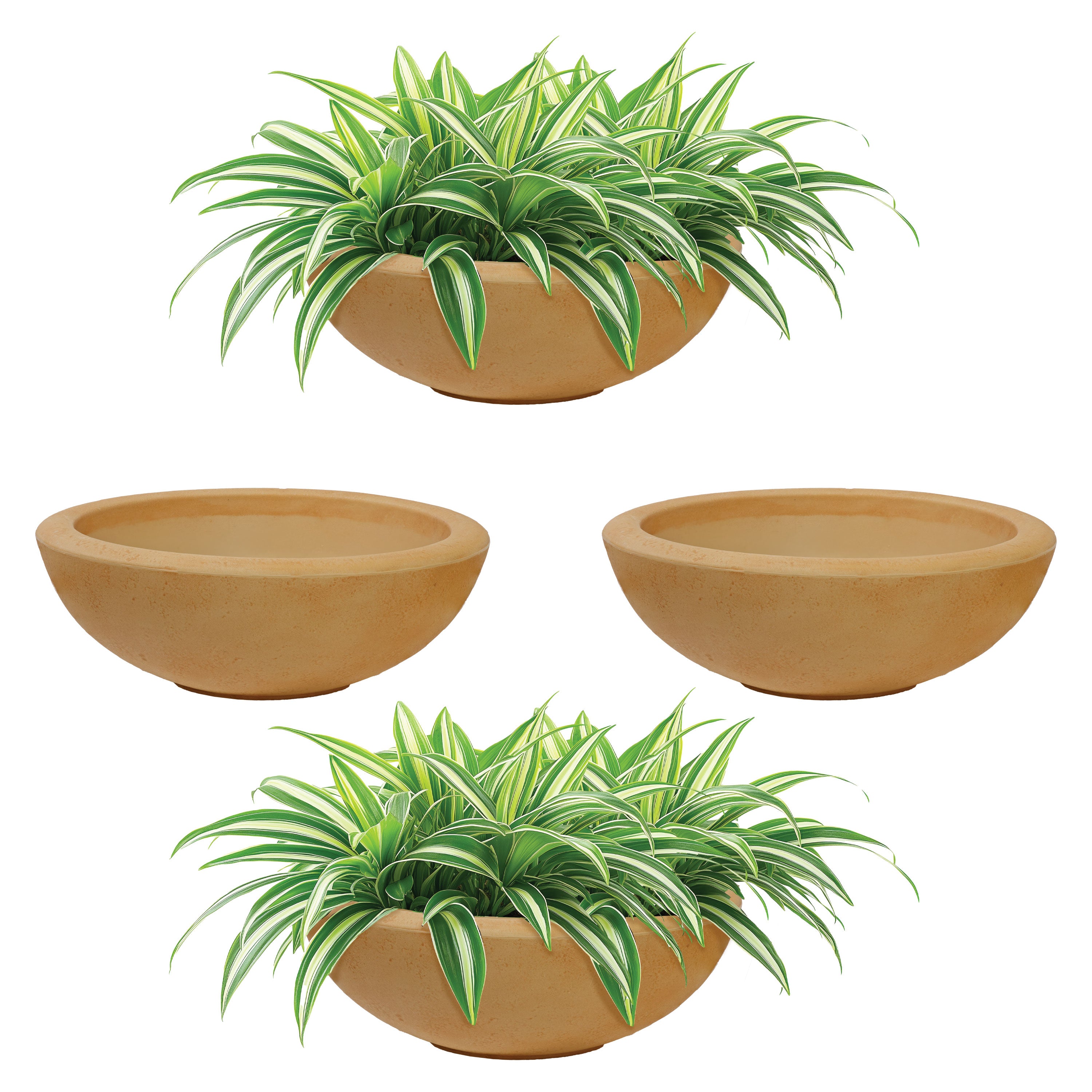 20.75 Inch Sunnydaze Percival Polyresin Outdoor Planter Bowl - Durable Garden Decor for Patio, Porch & Backyard Landscaping