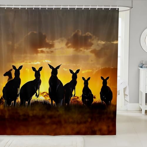 Kangaroo