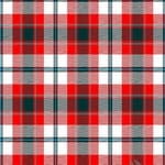 Glasgow District Tartan Plaid Scarf - Traditional Scottish Wool Wrap for Men & Women - Perfect for Winter, St. Patrick's Day & Celtic Events