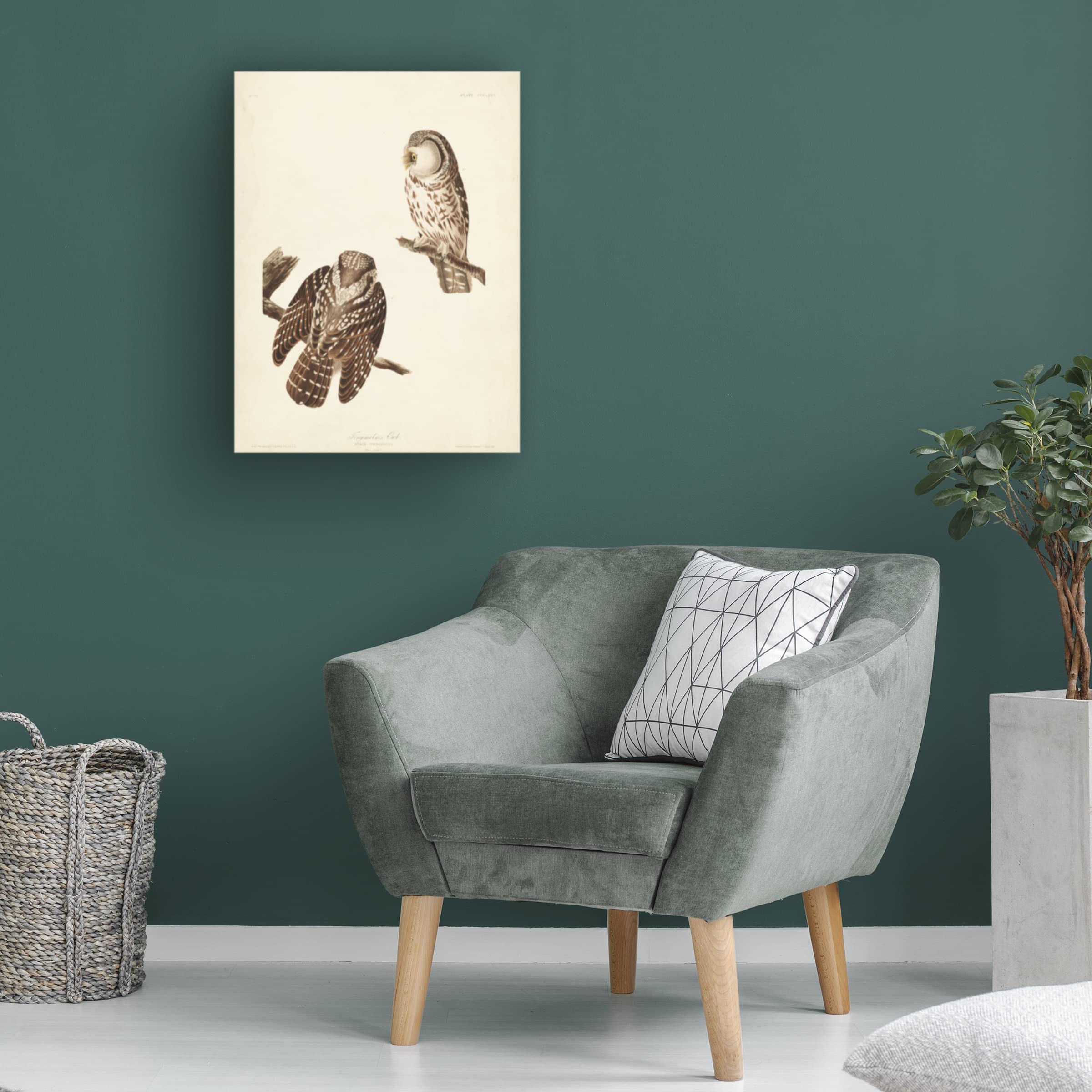 Trademark Fine Art 'Tengmalms Owl' Canvas Wall Art Print by John James Audubon - 24x32 Inches - Nature Wildlife Bird Decor for Living Room, Bedroom & Office