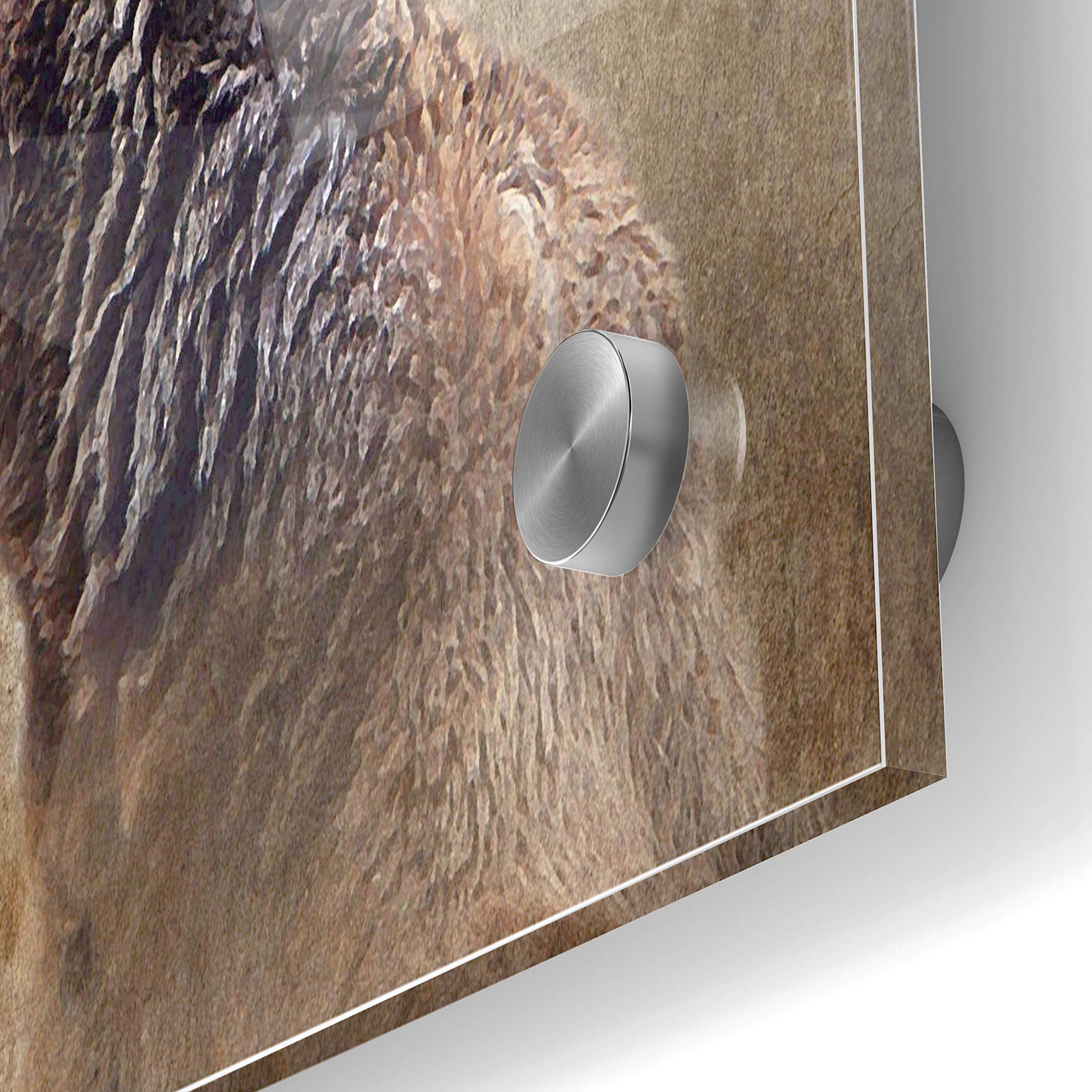 Karen Smith 'Big Bear' Acrylic Glass Wall Art - 24x36 Inches Modern Abstract Painting for Living Room, Bedroom & Office Decor