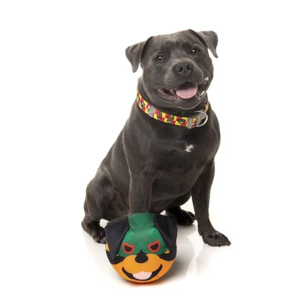 Fuzzyard Doggoforce Rumble Dog Toy - Interactive Plush Chew Toy for Small & Medium Dogs, Durable & Squeaky - Perfect for Indoor Play, Training & Bonding Time (15% OFF)