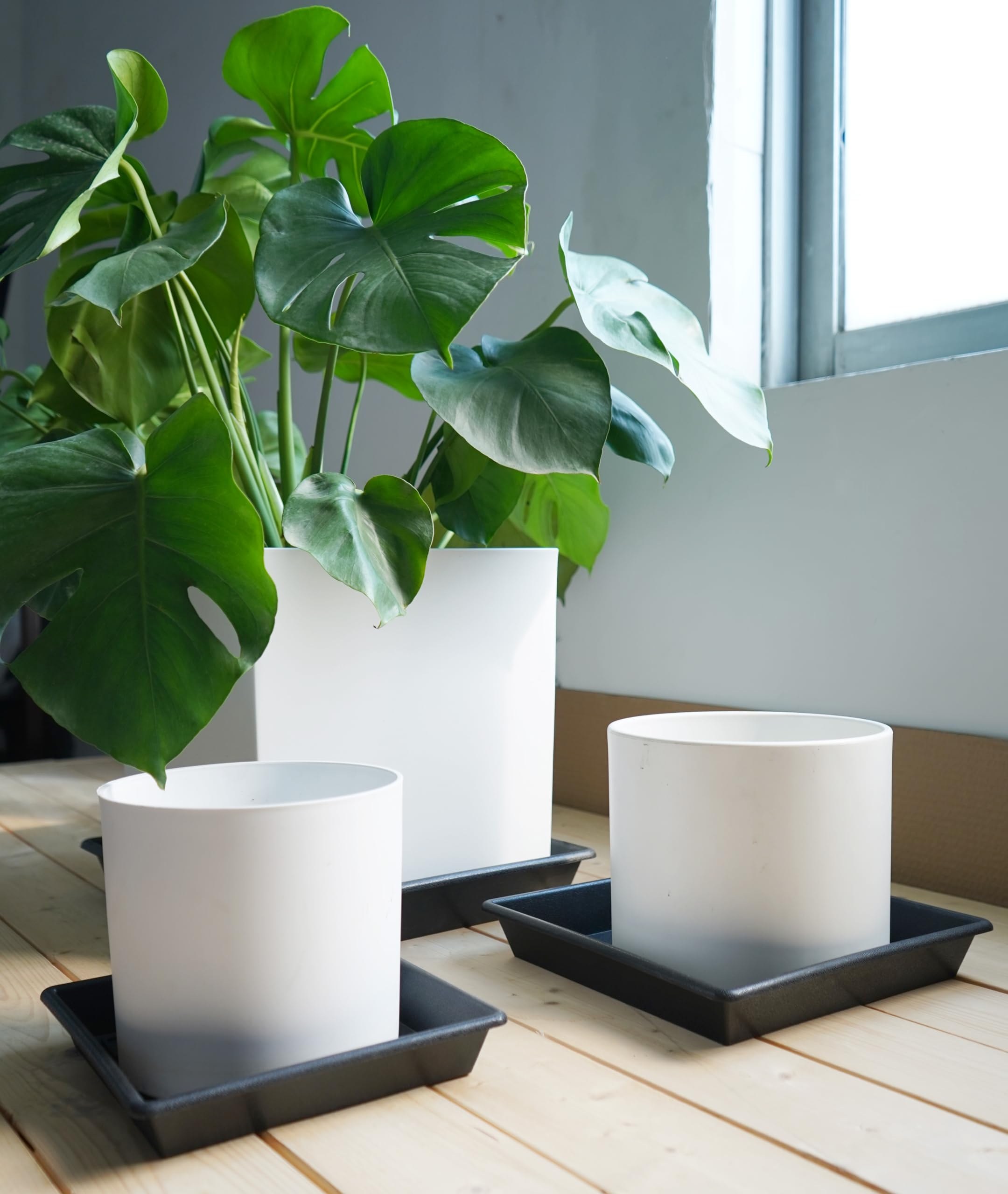 12 Inch Square Plant Saucer (2 Pack) - Heavy Duty Plastic Plant Trays for Indoor & Outdoor Pots - No Holes Drip Catcher for Flower Pots, Planters (6/8/10/12/14/16/18/20 Inch Options) - Perfect for Balcony, Patio, Garden & Home Decor