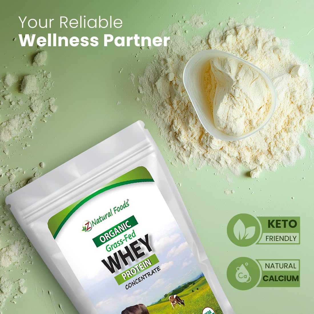 Organic Grass-Fed Whey Protein Powder by Z Natural Foods – Cold-Processed Whey Protein Concentrate with Essential Amino Acids for Muscle Recovery & Fitness – Unflavored, 5 lb – Perfect for Post-Workout Shakes, Smoothies & Baking