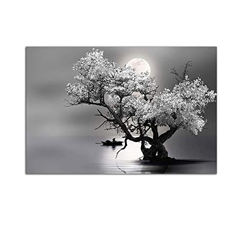 Black White Moon