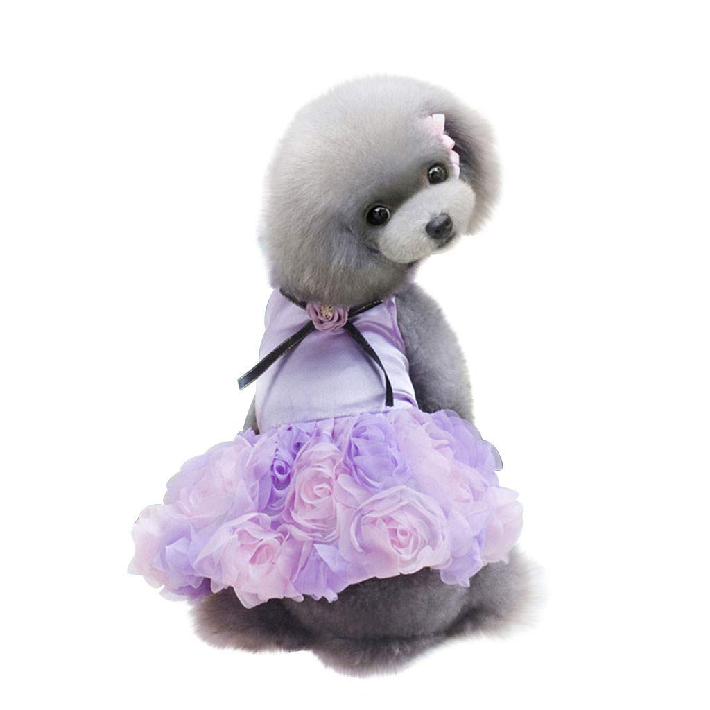 Rose Print Lace Dog Dress - Breathable Pet Clothes for Small & Large Female Dogs | Cute Puppy Outfits for Weenie Dogs & Cats | Perfect for Parties, Photo Shoots & Daily Wear