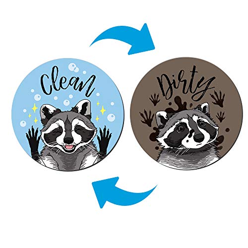 Raccoon