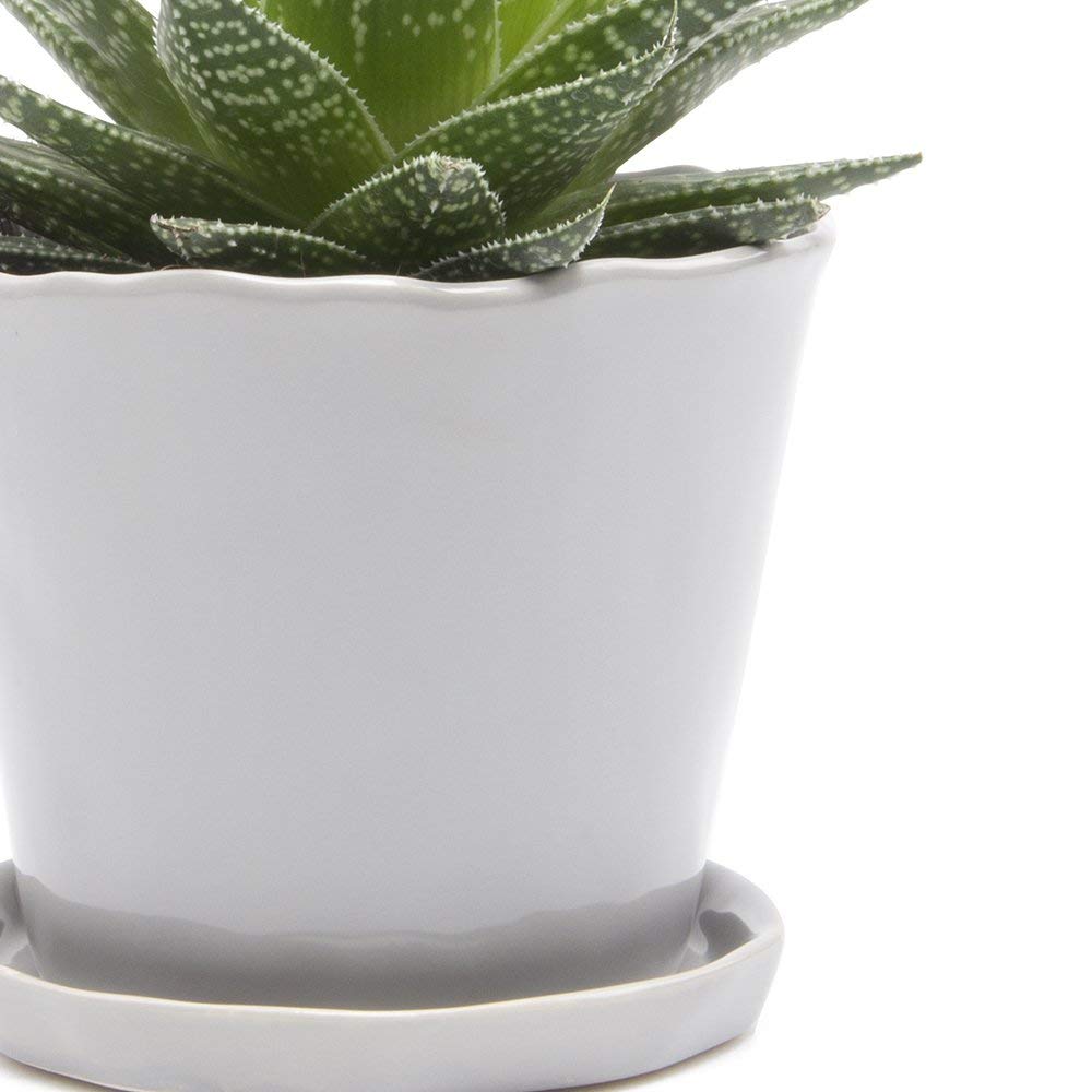 CHIVE ‘Tika’ 5 Inch Large Succulent Planter Pot - Modern Grey Indoor Plant Container for Home & Kitchen Decor - Perfect for Windowsills, Office Desks, and Gift Giving