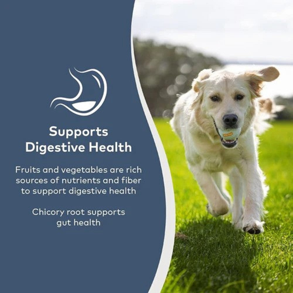 Premium Cage-Free Chicken with Orchard Fruits Dog Food - Grain-Free, All-Natural Recipe for Small & Large Breeds | Perfect for Adult Dogs & Puppies | Supports Digestive Health & Shiny Coat