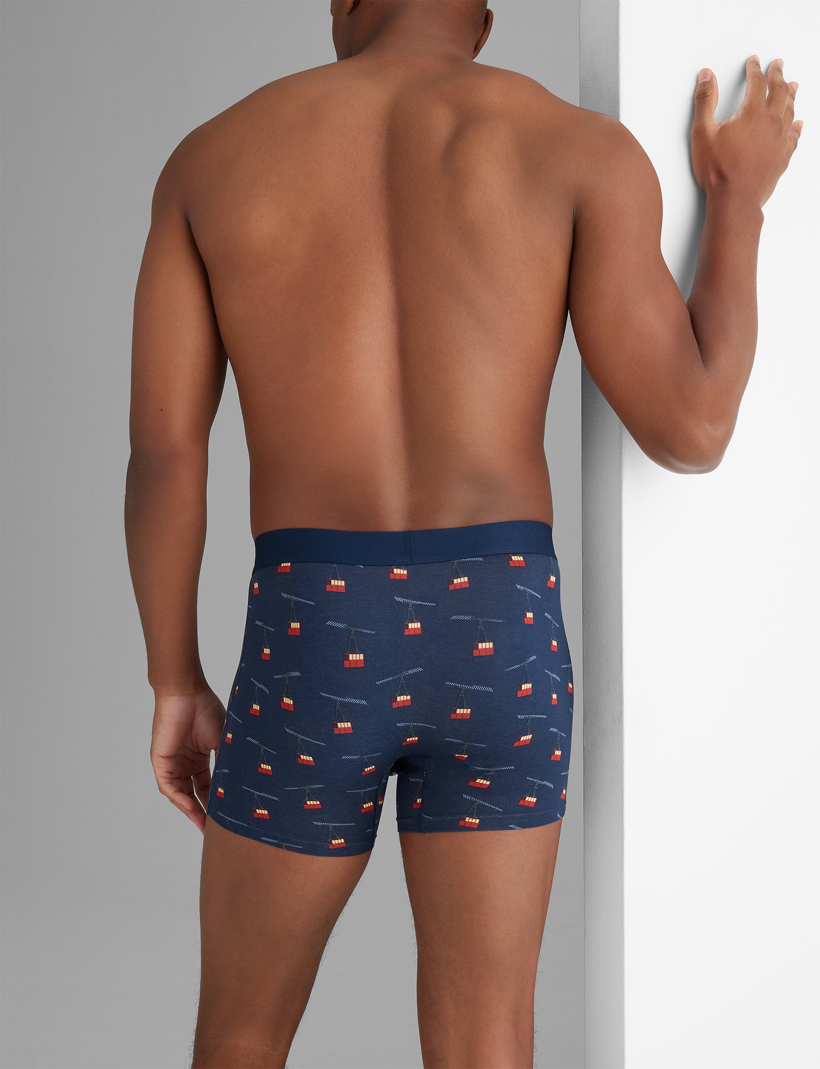 Premium Cotton Trunk Underwear for Men - 6 Pack Soft Breathable Boxer Briefs - Comfortable Everyday Wear for Workout, Lounge & Travel