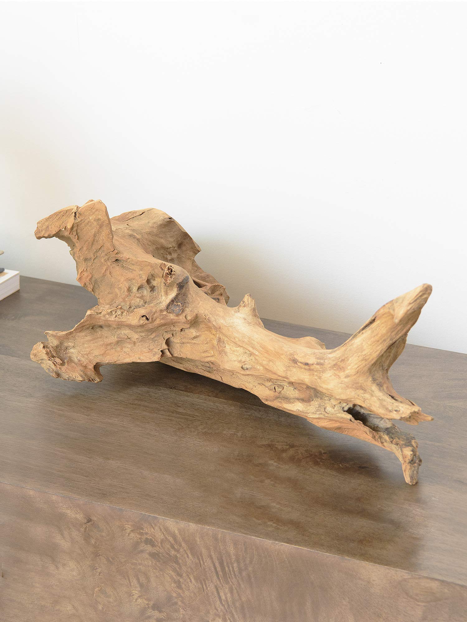 Premium Teak Root Sculpture for Home Decor - Natural Bleached Finish | Perfect for Living Room, Office & Zen Spaces