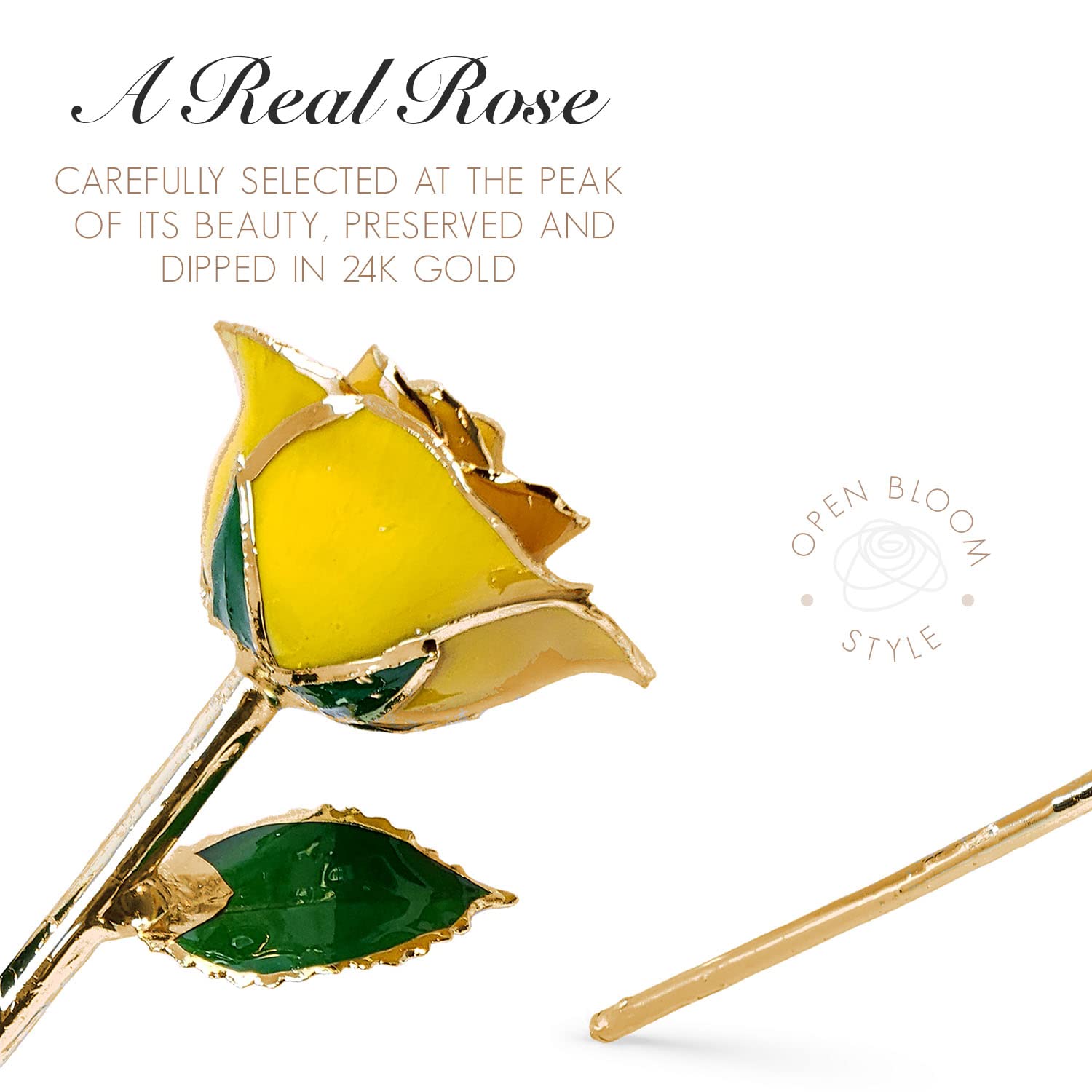 24K Gold Dipped Forever Rose - Real Preserved Yellow Rose with Certificate of Authenticity | Romantic Anniversary Gift for Her, Valentine's Day Present, Wedding Decoration, Home & Office Luxury Décor