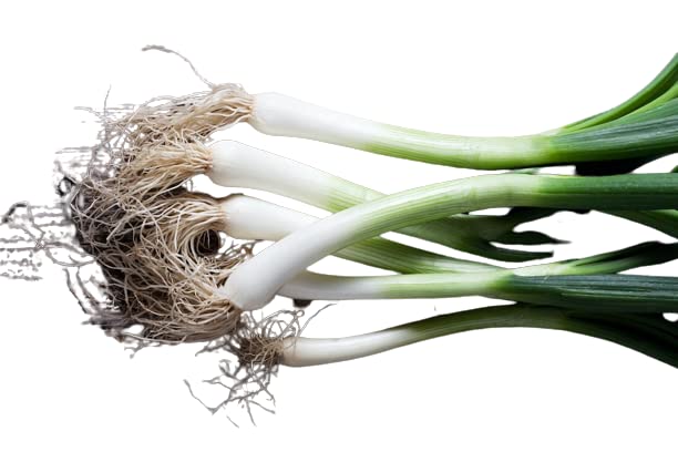 Organic Tokyo Long White Bunching Onion Heirloom Seeds - Non-GMO, 1g Packet for Home Gardening, Cooking & Fresh Salads