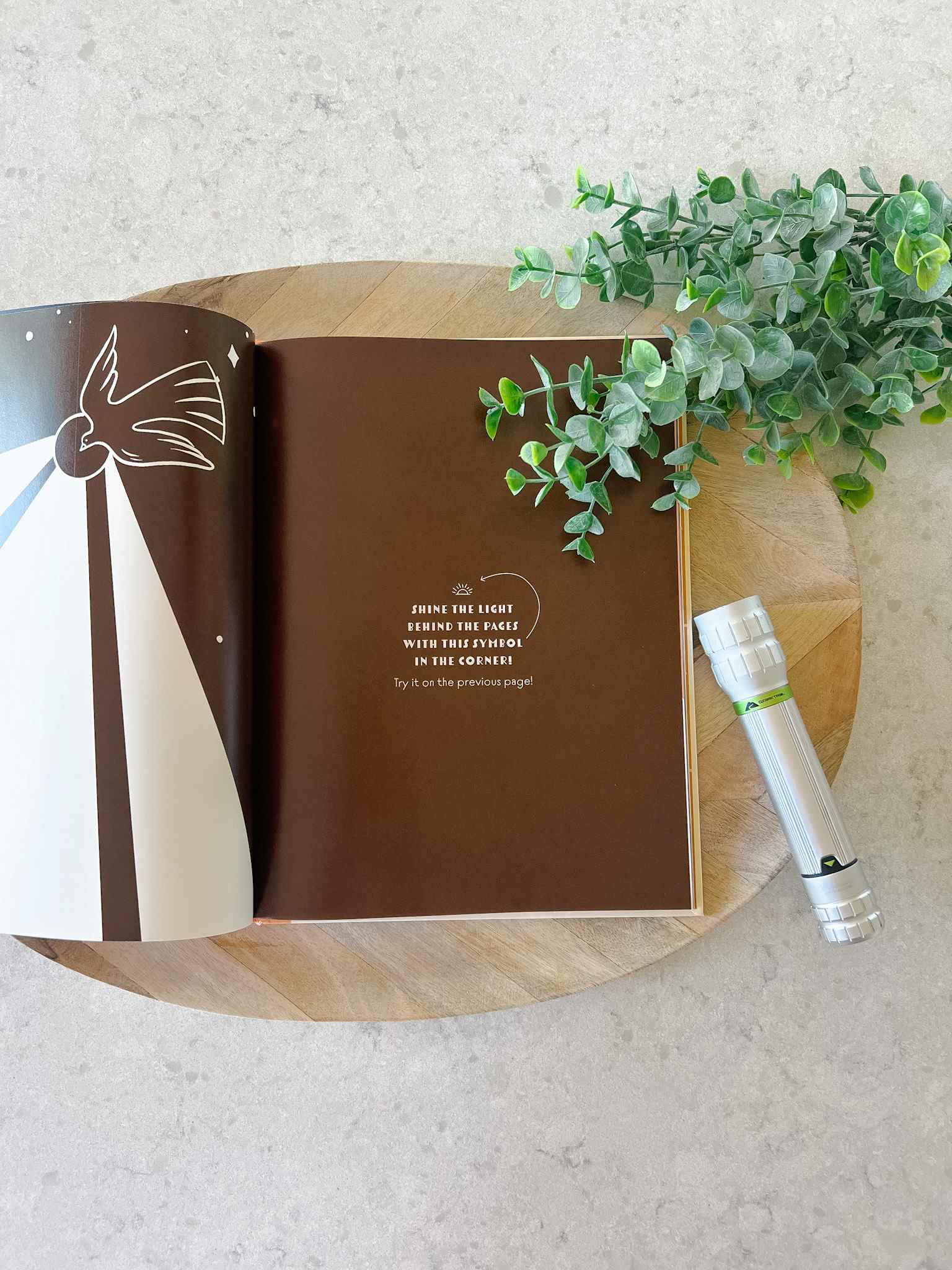 Light of the Saints Book - Inspirational Catholic Reading for Spiritual Growth & Daily Devotion - Perfect for Prayer Time, Bible Study & Gift Giving