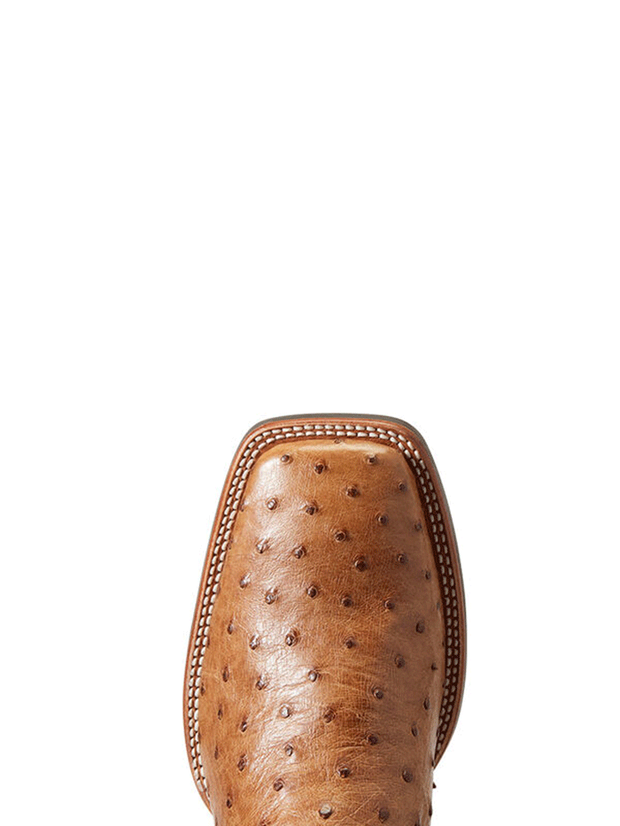 Ariat Men's Quantum Primo Full Quill Ostrich Western Boots - Beam Brown | Premium Cowboy Boots for Riding, Work & Country Fashion