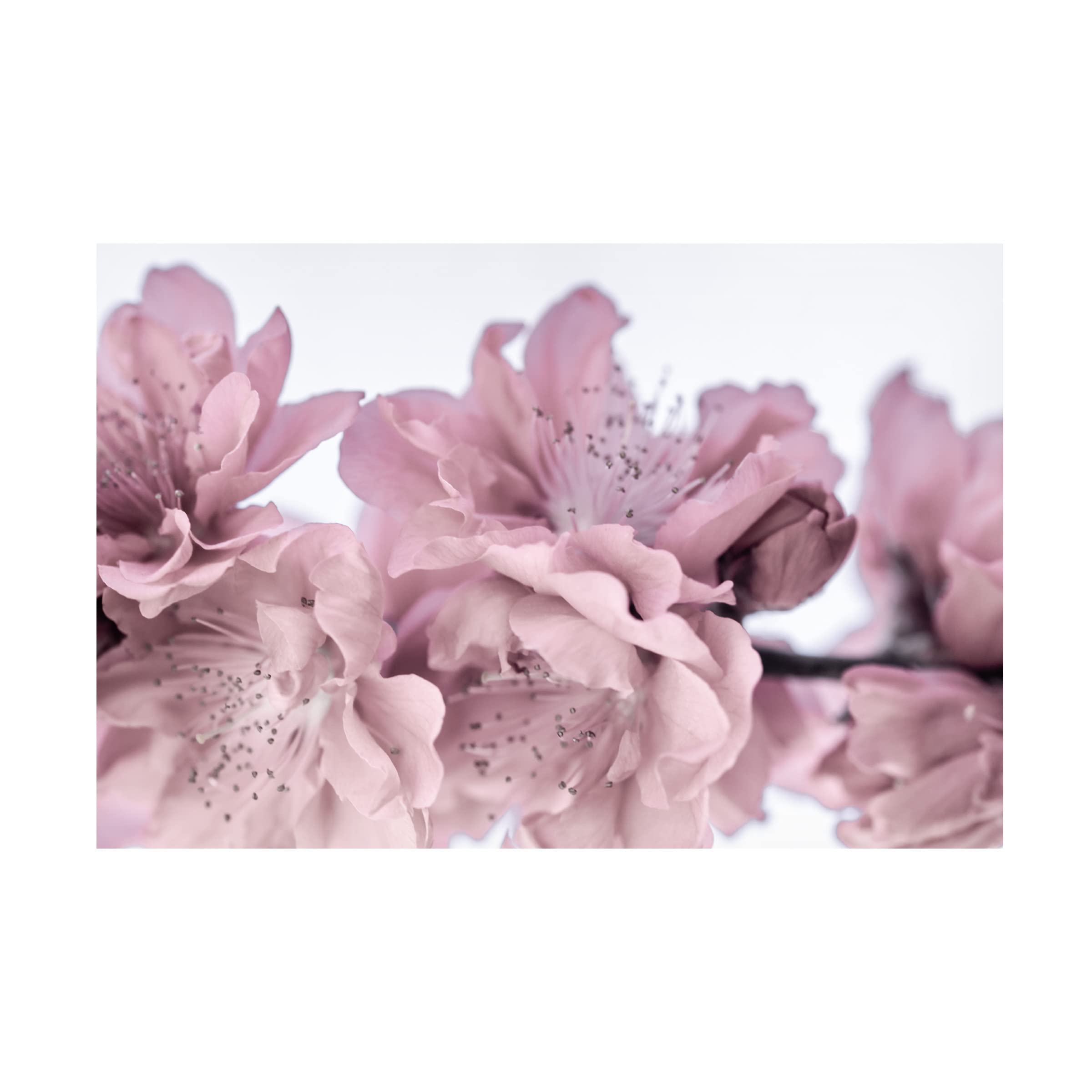 Stormy Spring 14