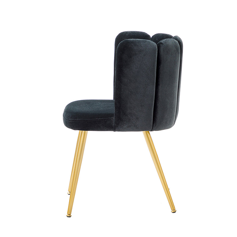 Elodia Side Chair - Modern Accent Chair for Dining Room, Living Room & Office - Sturdy Wooden Frame with Upholstered Seat - Perfect for Home Decor & Small Spaces