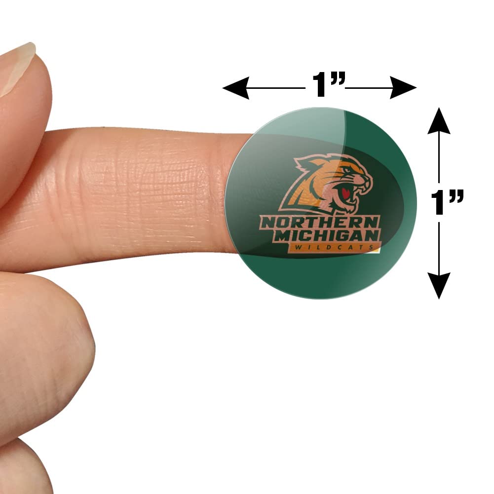 Northern Michigan Wildcats Logo 1