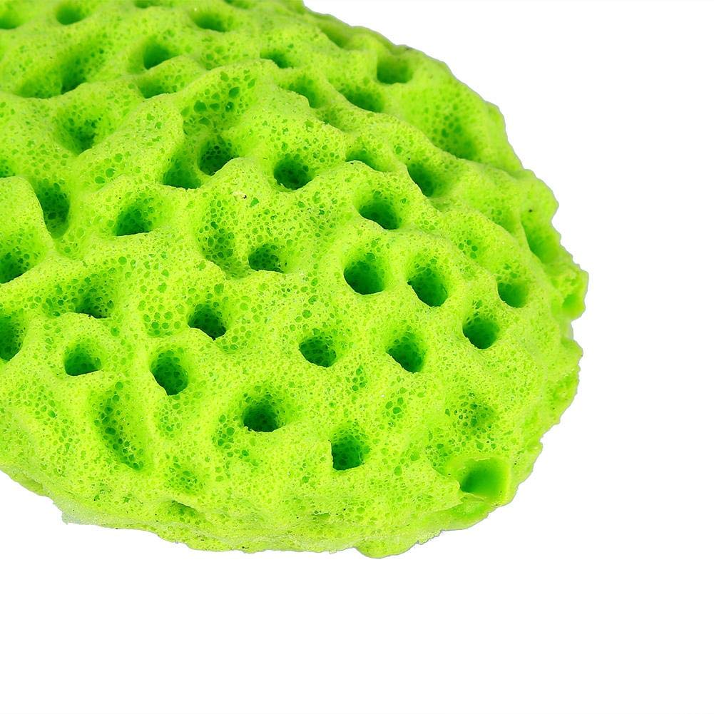 4 Colors Soft Sponge Body Bath Ball - Exfoliating Shower Scrubber for Smooth Skin | Spa & Bath Accessories | Gentle Cleansing for Daily Use (Green)