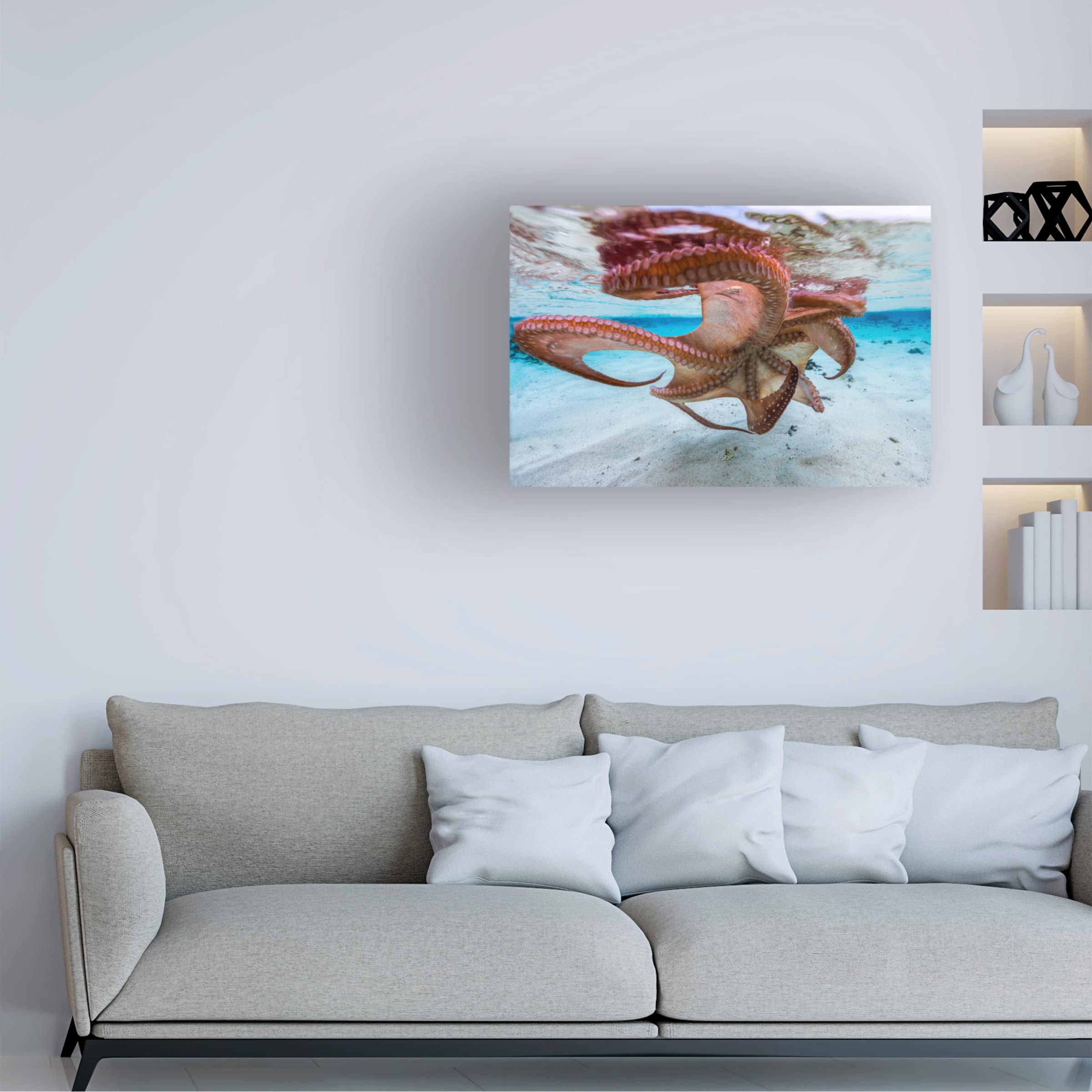 Trademark Fine Art 'The Octopus Underside' Canvas Wall Art Print by Barathieu Gabriel - Modern Ocean Themed Decor for Living Room, Bedroom & Office