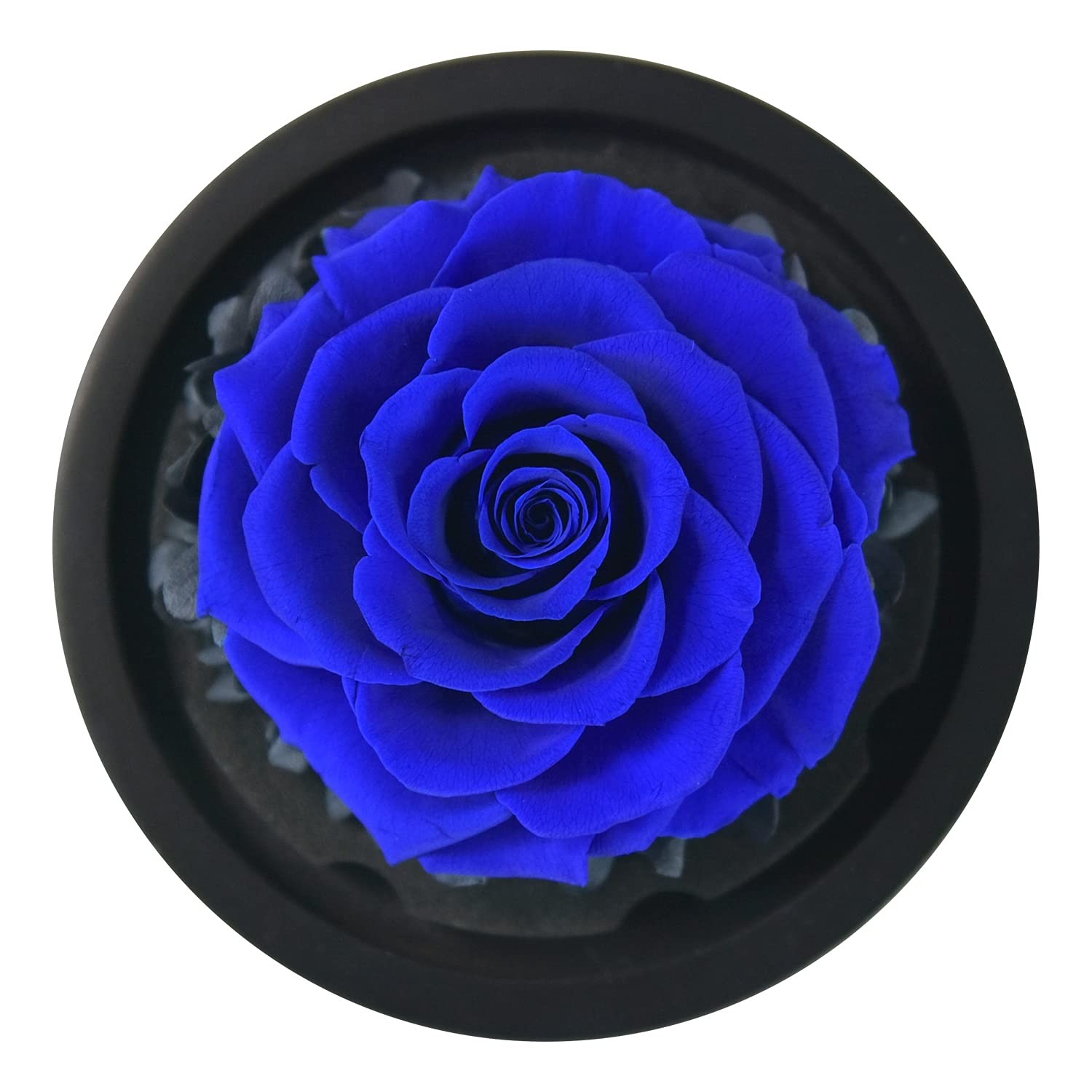 Forever Preserved Real Rose in Glass Dome - Eternal Heart Design Birthday Gift for Women, Valentine's Day, Mother's Day, Christmas & Anniversary Present | Romantic Home Decor, Wedding Centerpiece, Office Desk Decoration