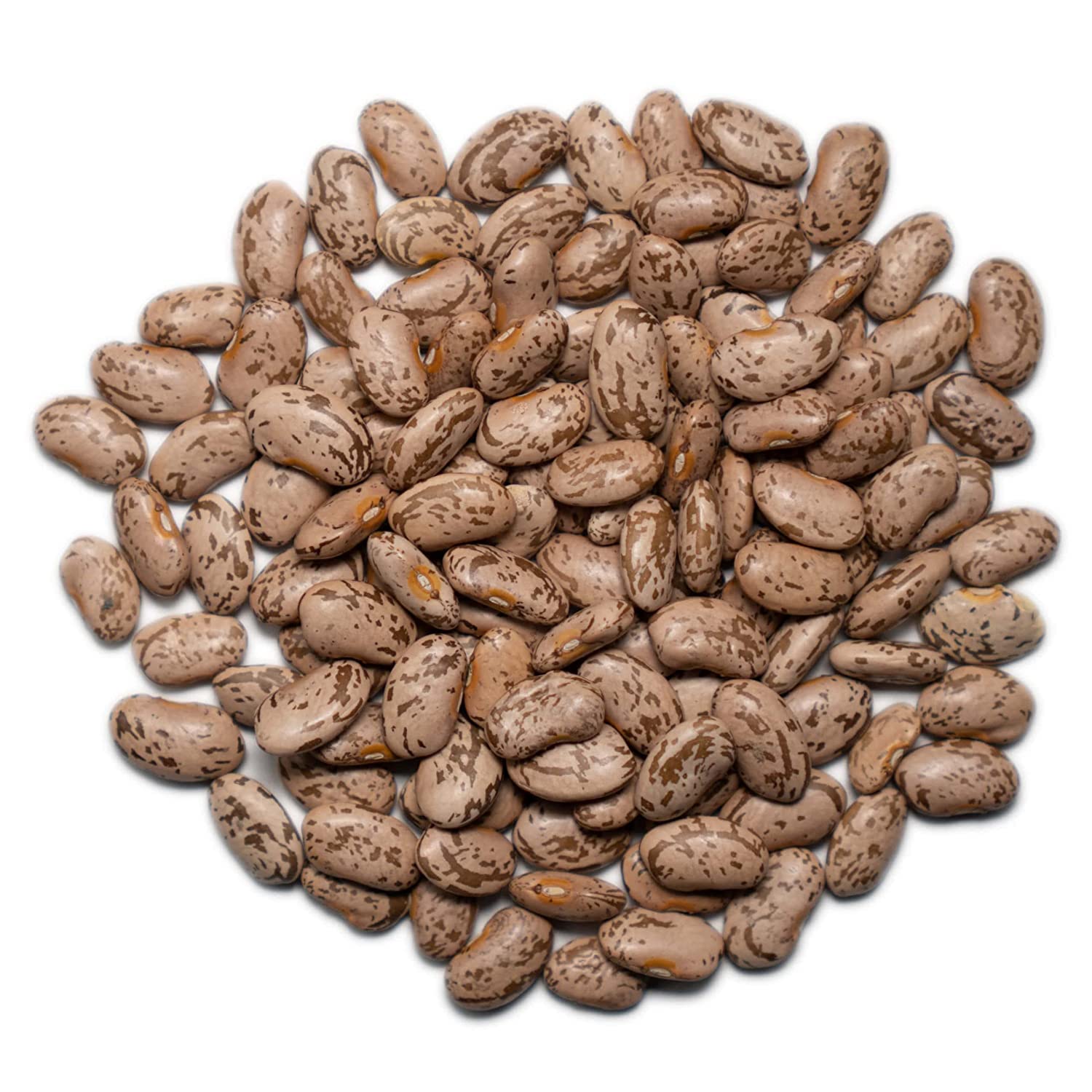 1000 SPRINGS MILL - 25lb Bulk Organic Pinto Beans | Non-GMO, Vegan Friendly Dry Brown Beans for Cooking | Perfect for Soups, Stews, Chili, Burritos, Dips & Refried Beans | Great for Meal Prep, Camping & Pantry Storage