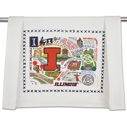 University of Illinois