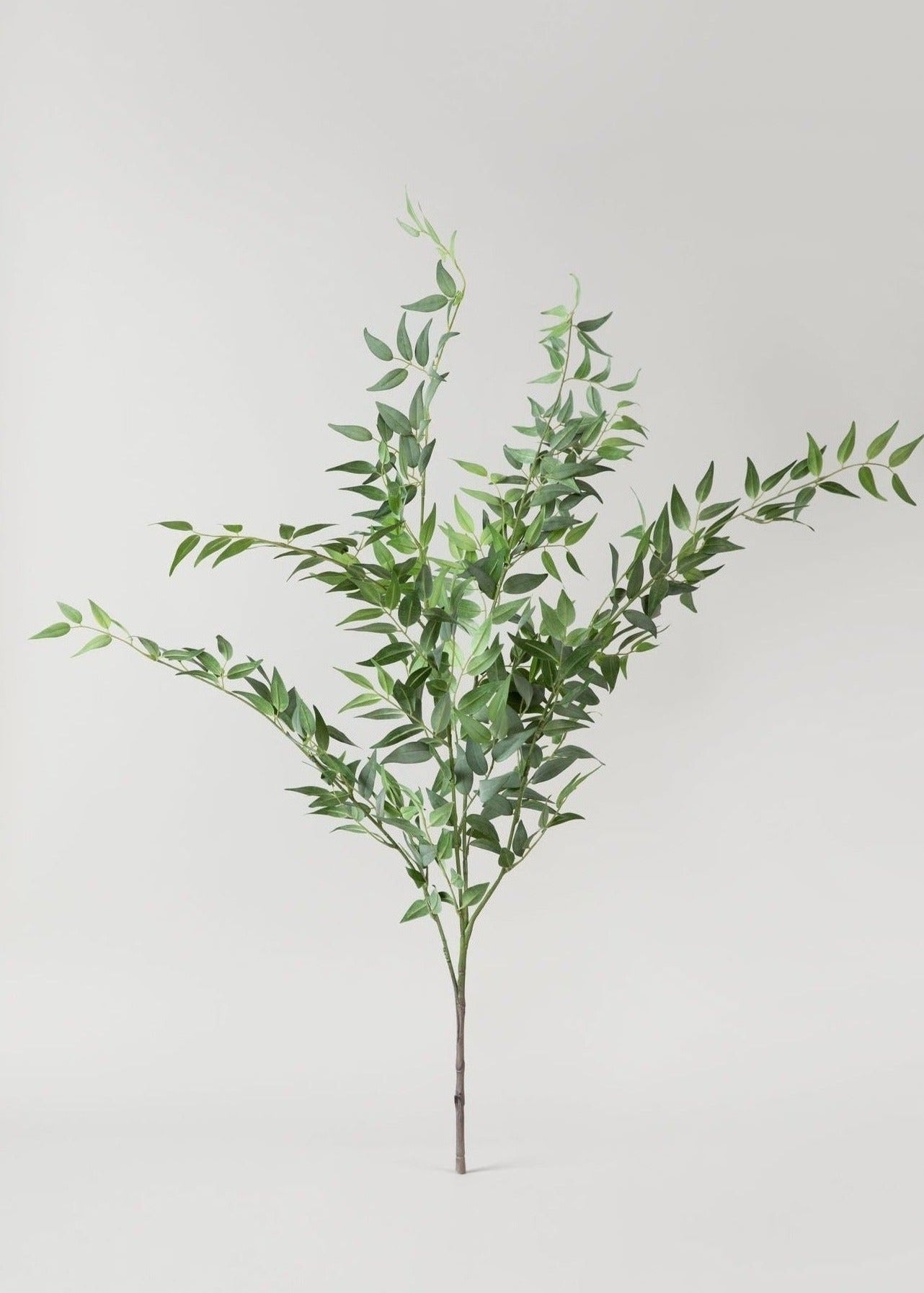 Artificial Italian Ruscus Spray - 46