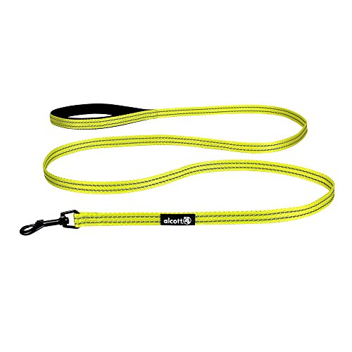 Neon Yellow