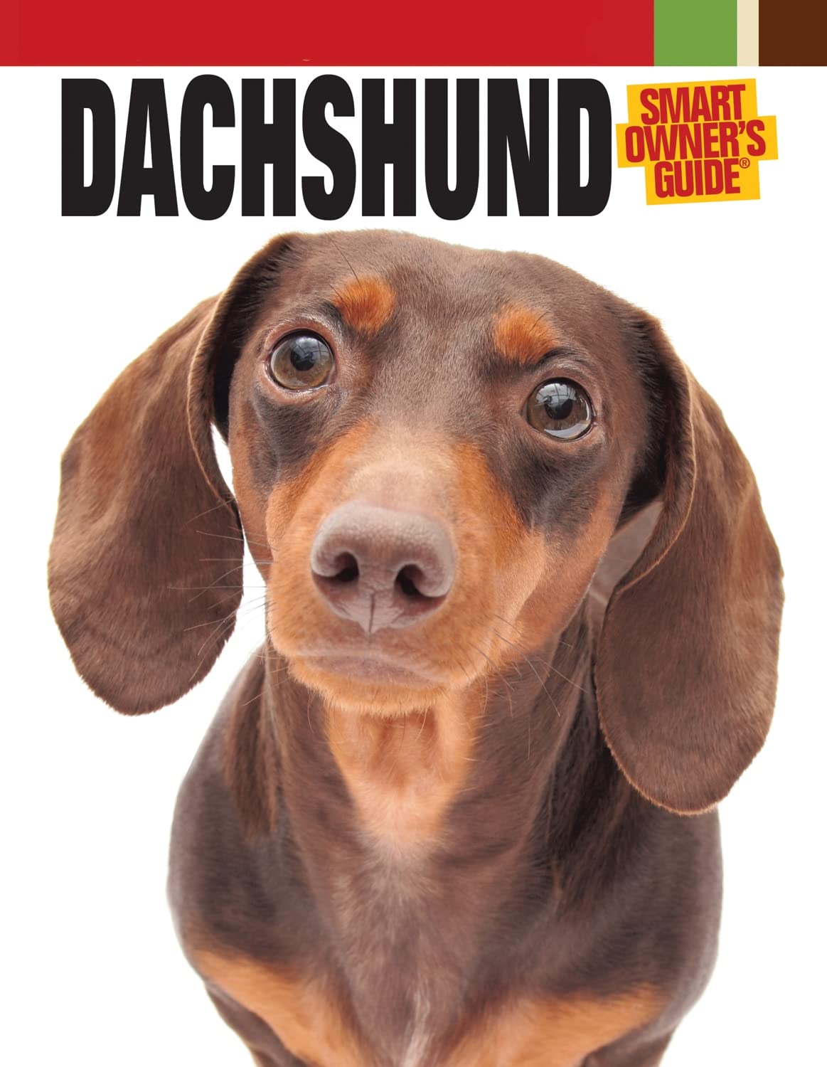 Dachshund Dog Breed Book - Comprehensive Guide for Owners by CompanionHouse Books | Perfect for Training, Grooming & Care Tips