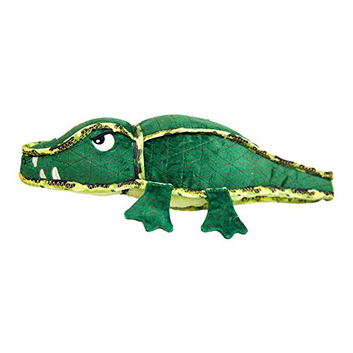 Alligator