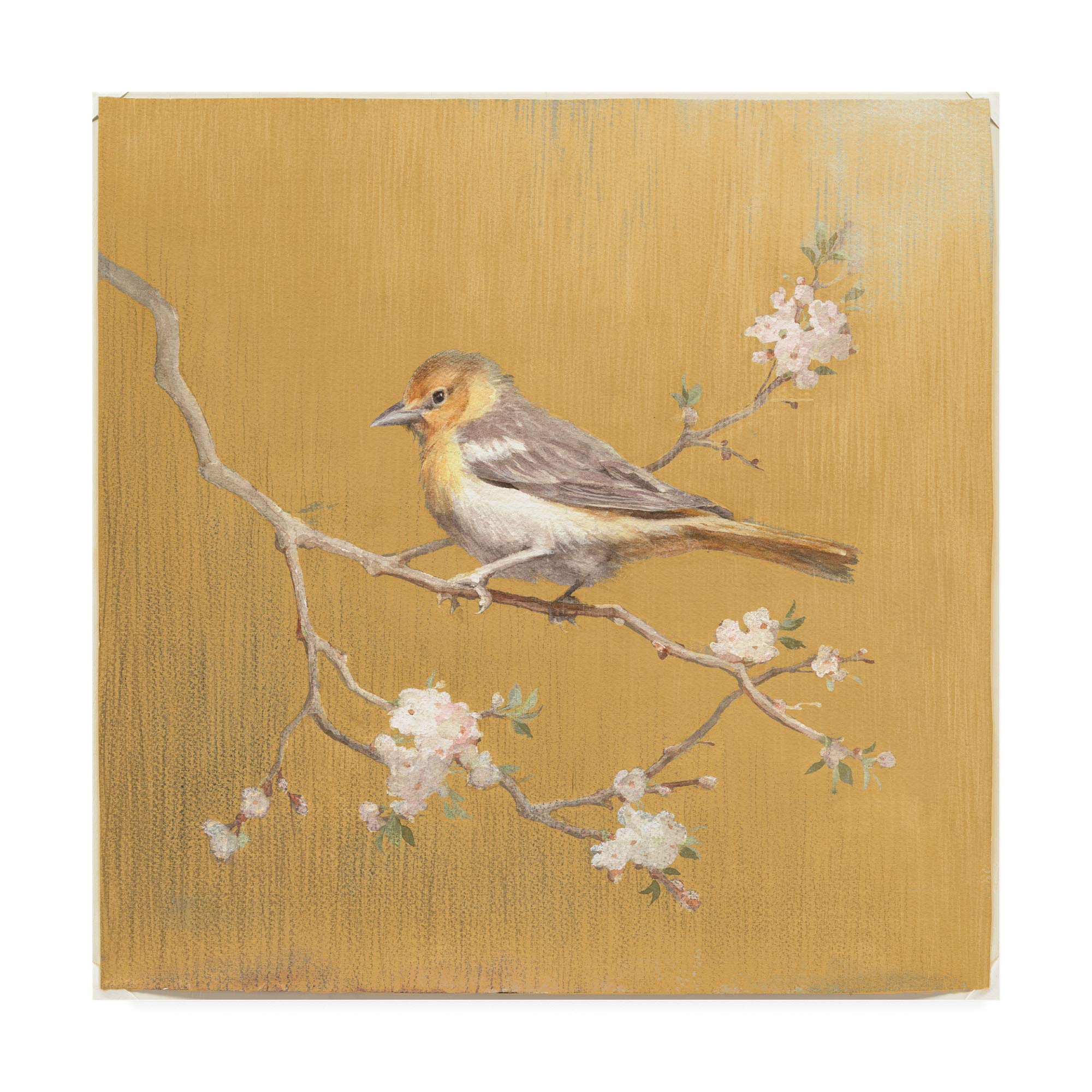 Danhui NAI Northern Oriole on Gold 18x18 Fine Art Print - Premium Wall Decor for Living Room, Bedroom & Office