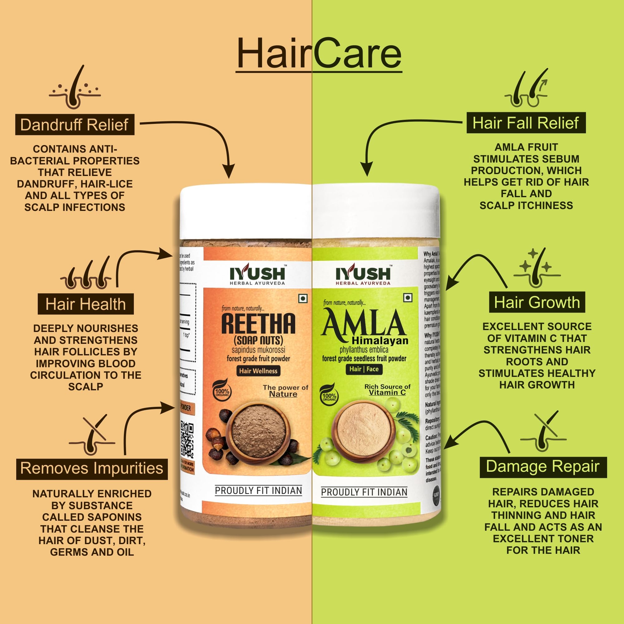 IYUSH Herbal Ayurveda Amla & Reetha Powder for Hair Growth & Scalp Care - 100% Natural Hair Treatment (Pack of 2 x 100g) - Promotes Stronger, Longer Hair & Reduces Hair Fall - Perfect for DIY Hair Masks & Ayurvedic Hair Care Routines
