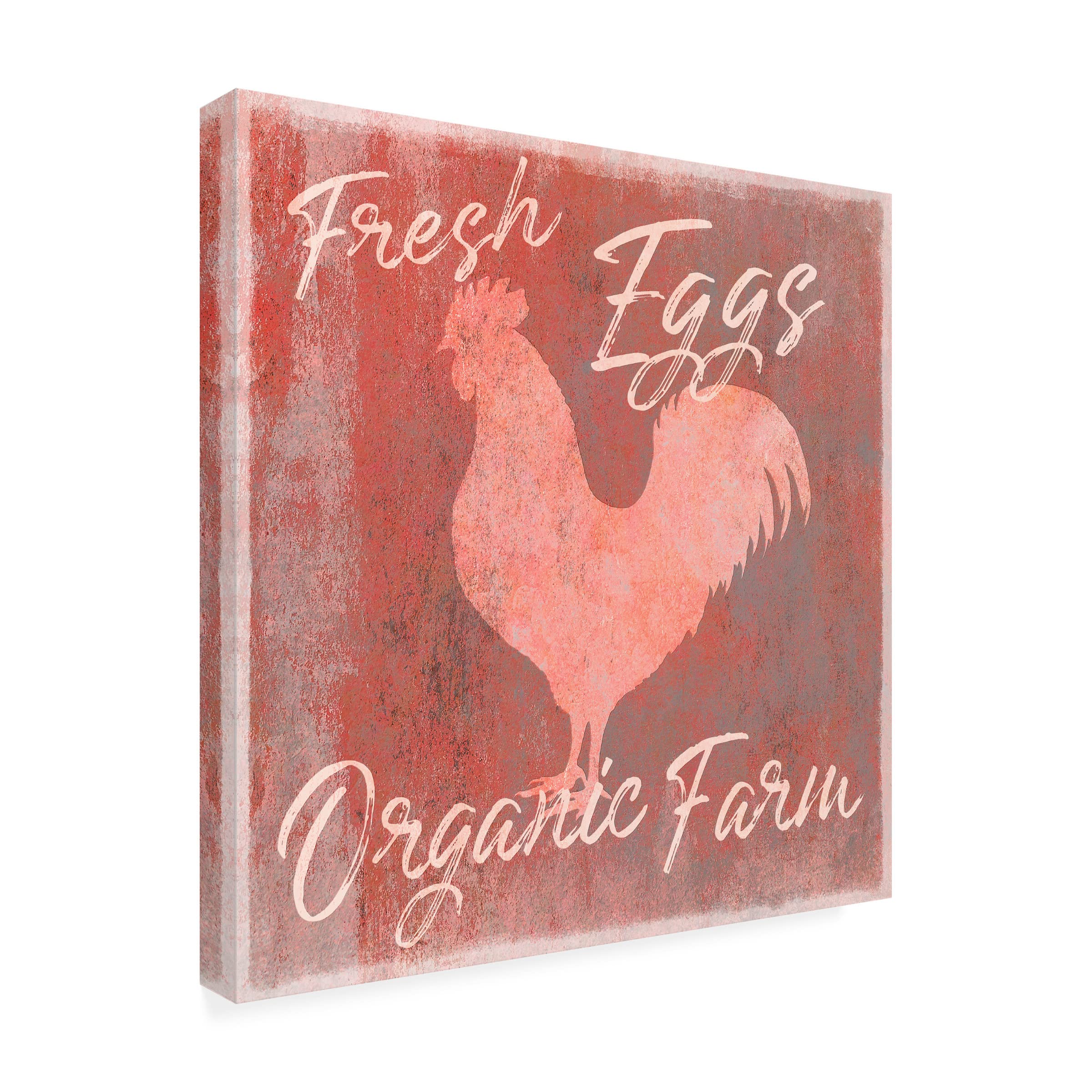Trademark Fine Art 'Organic Farm Rooster' Canvas Wall Art Print by Cora Niele - Rustic Country Kitchen Decor & Farmhouse Living Room Painting