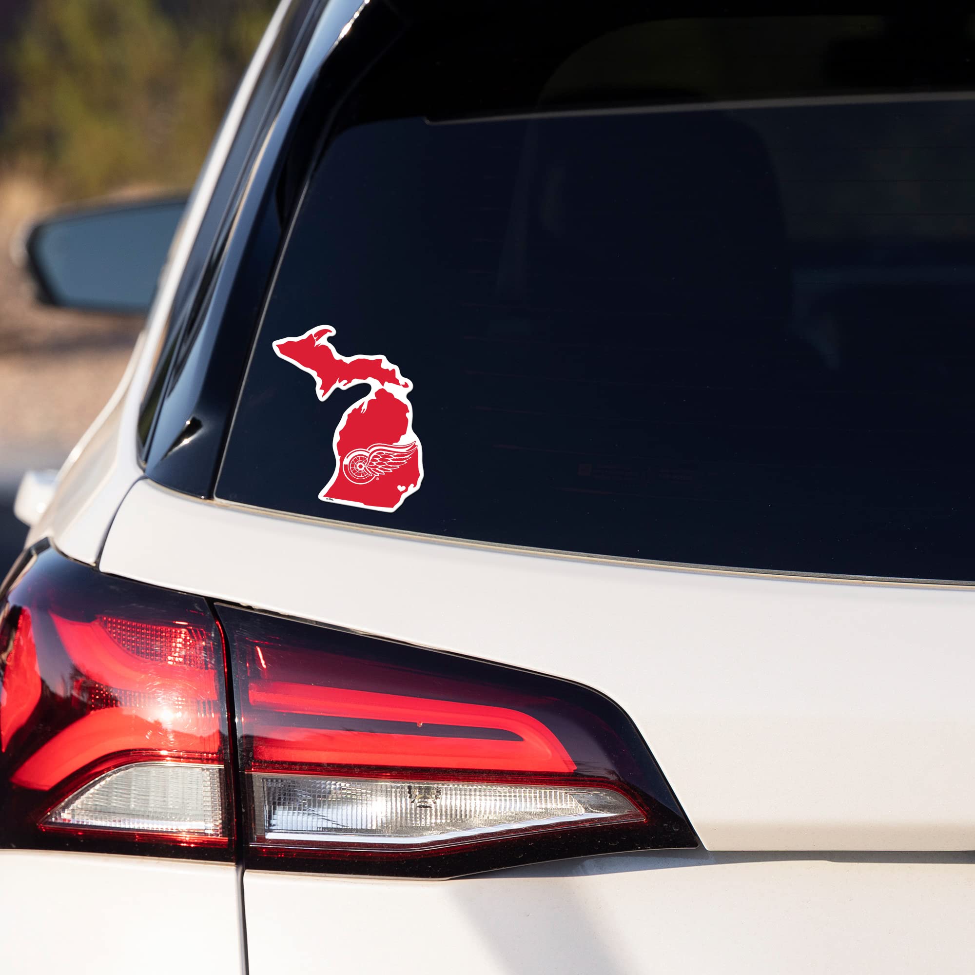 NHL Rico Industries Home State Sticker 5