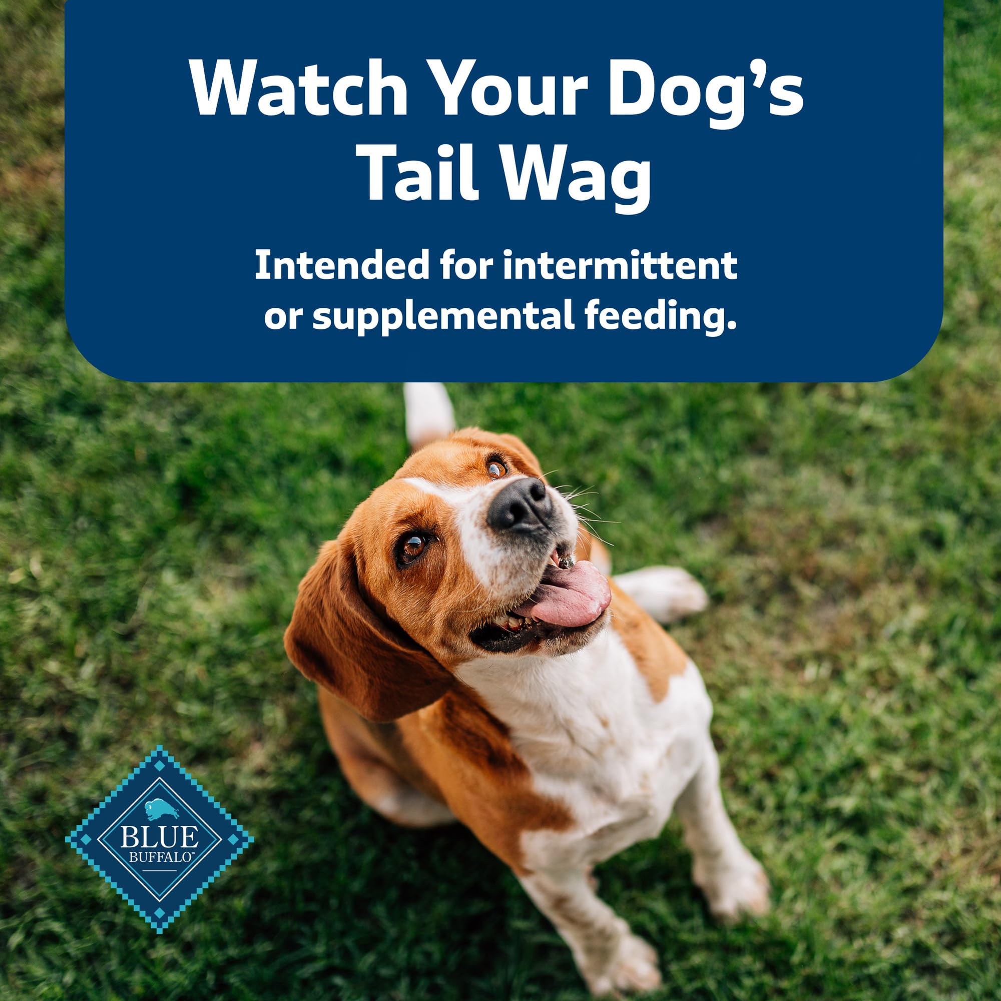 Blue Buffalo Health Bars Natural Crunchy Dog Treats - Mini Biscuits with Bacon, Egg & Cheese Flavor | Healthy Snacks for Small & Medium Dogs | Perfect for Training Rewards & Travel Treats